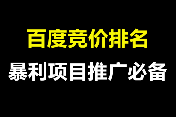 百度竞价排名推广，暴利项目营销必备